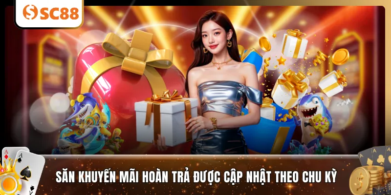 Săn khuyến mãi hoàn trả được cập nhật theo chu kỳ